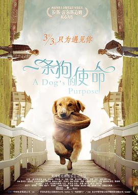 希岛爱理aⅴ在线中文字幕